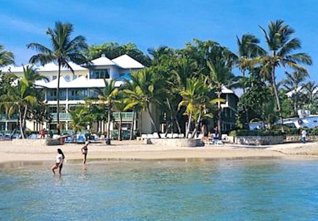 Beachfront Apt With Seaview Dining Patio Leilighet Puerto Plata Eksteriør bilde